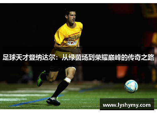 足球天才豋纳达尔：从绿茵场到荣耀巅峰的传奇之路