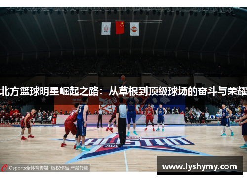 北方篮球明星崛起之路：从草根到顶级球场的奋斗与荣耀