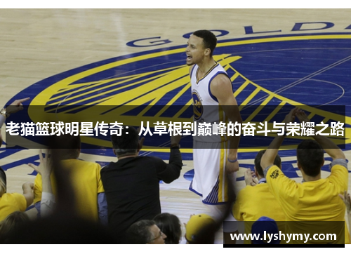 老猫篮球明星传奇：从草根到巅峰的奋斗与荣耀之路